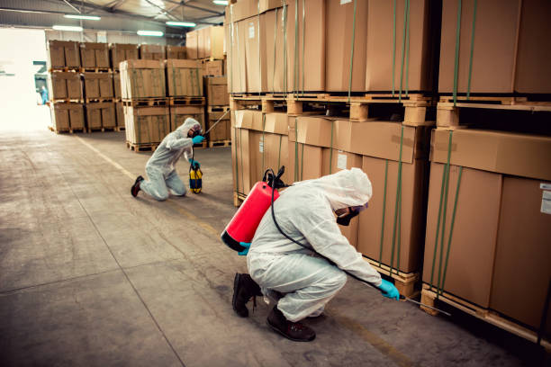 Best Pest Removal Services  in Winchester, CA