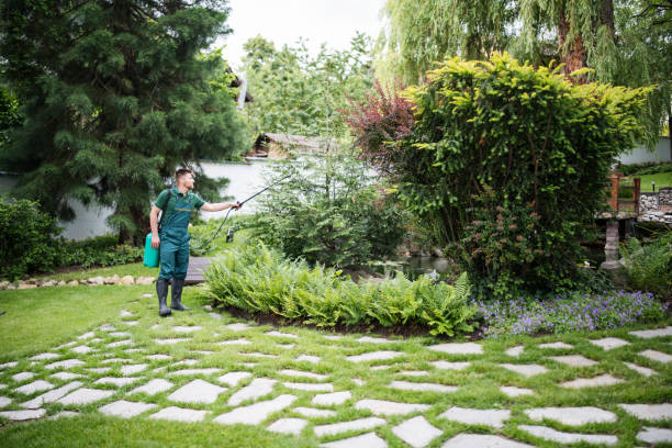Professional Pest Control in Winchester, CA