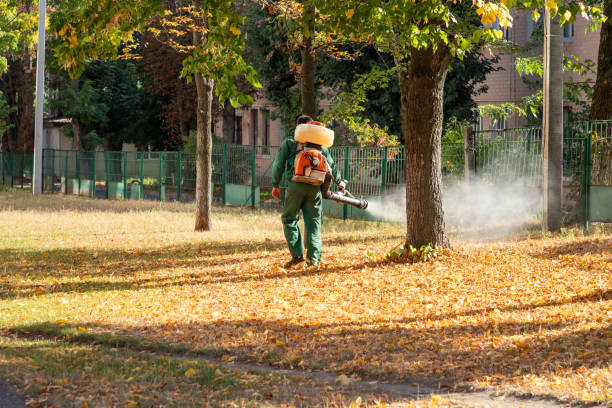 Best Pest Prevention Services  in Winchester, CA